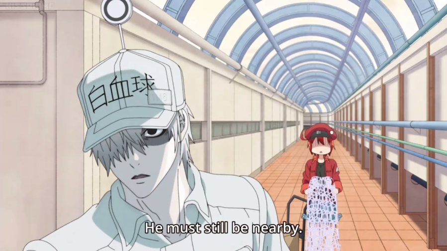 Anime Review: Cells at Work! Episode 1 - Sequential Planet